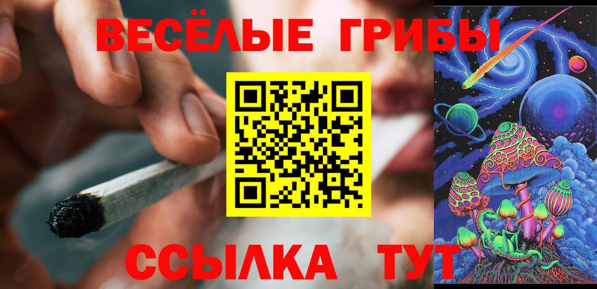Псилоцибиновые грибы мицелий  Вход с VPN  Минусинск 